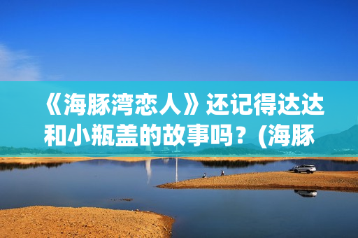 《海豚湾恋人》还记得达达和小瓶盖的故事吗？(海豚湾恋人剧情详细介绍)