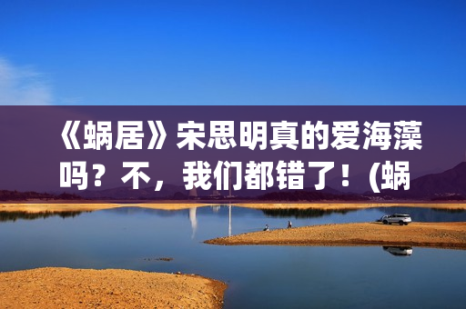 《蜗居》宋思明真的爱海藻吗？不，我们都错了！(蜗居宋思明是什么身份)