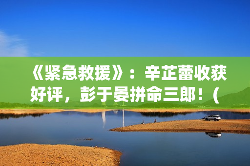 《紧急救援》：辛芷蕾收获好评，彭于晏拼命三郎！(紧急救援第九季)