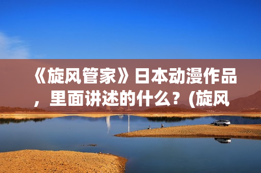 《旋风管家》日本动漫作品，里面讲述的什么？(旋风管家第一季ova)