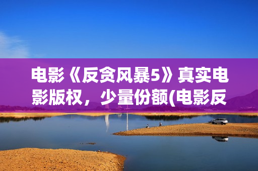电影《反贪风暴5》真实电影版权，少量份额(电影反贪风暴3(普通话)在线观看)