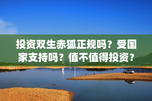 投资双生赤狐正规吗？受国家支持吗？值不值得投资？(剧名《双生赤狐》)