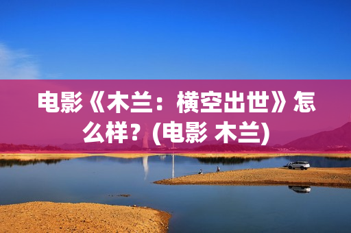 电影《木兰：横空出世》怎么样？(电影 木兰)