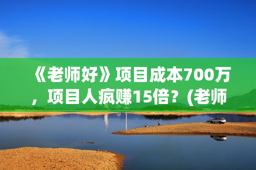 《老师好》项目成本700万，项目人疯赚15倍？(老师好主要讲的是什么)