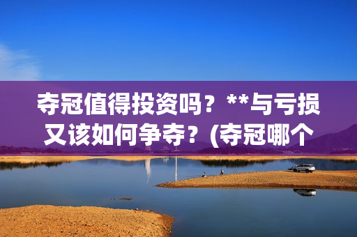 夺冠值得投资吗？**与亏损又该如何争夺？(夺冠哪个公司的)
