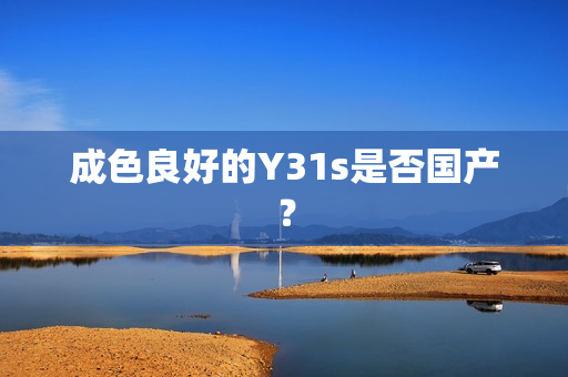 成色良好的Y31s是否国产？