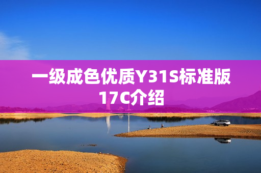 一级成色优质Y31S标准版17C介绍