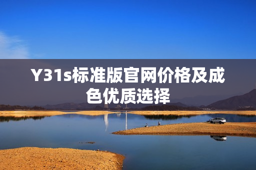 Y31s标准版官网价格及成色优质选择