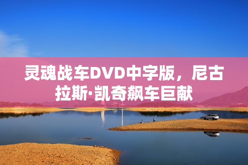 灵魂战车DVD中字版，尼古拉斯·凯奇飙车巨献