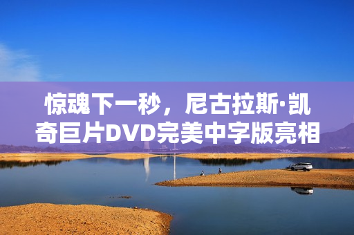 惊魂下一秒，尼古拉斯·凯奇巨片DVD完美中字版亮相