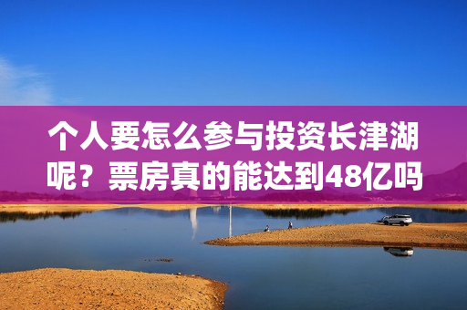 个人要怎么参与投资长津湖呢？票房真的能达到48亿吗？份额真实吗？(个人怎么参与储能电站)