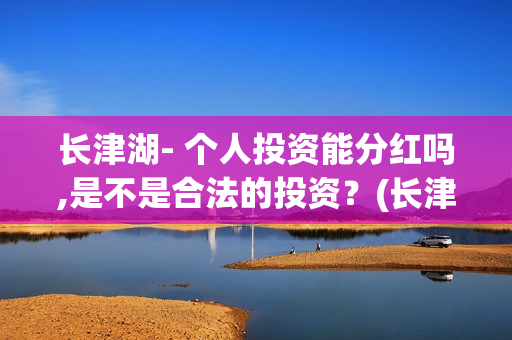 长津湖- 个人投资能分红吗,是不是合法的投资？(长津湖投了多少钱)