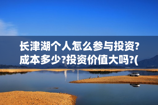 长津湖个人怎么参与投资?成本多少?投资价值大吗?(长津湖到底如何)