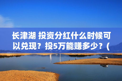 长津湖 投资分红什么时候可以兑现？投5万能赚多少？(长津湖投资额)