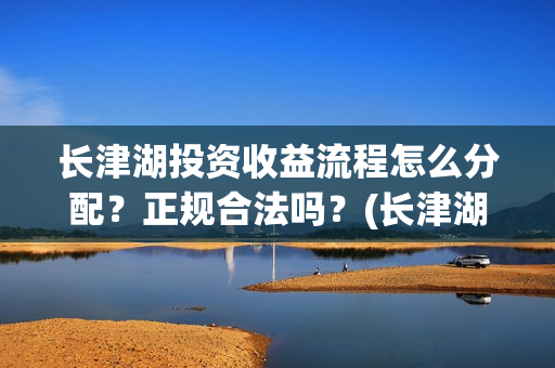 长津湖投资收益流程怎么分配？正规合法吗？(长津湖投资回报)