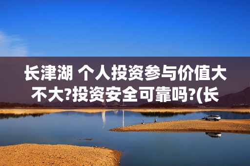长津湖 个人投资参与价值大不大?投资安全可靠吗?(长津湖投入)