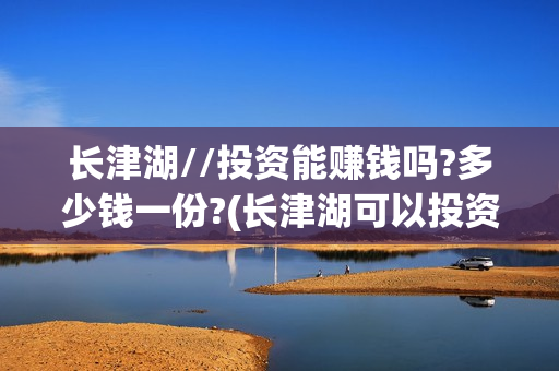 长津湖//投资能赚钱吗?多少钱一份?(长津湖可以投资吗)
