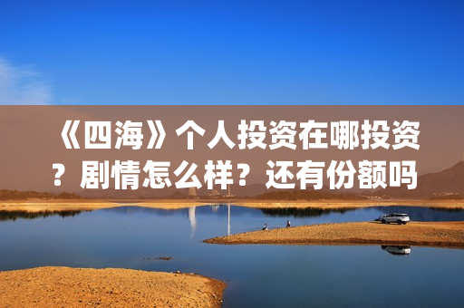 《四海》个人投资在哪投资？剧情怎么样？还有份额吗？(四海的出品方)