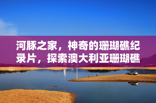 河豚之家,神奇的珊瑚礁纪录片,探索澳大利亚珊瑚礁的奥秘 河豚之家,神奇的珊瑚礁纪录片,探索澳大利亚珊瑚礁的奥秘