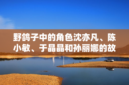 野鸽子中的角色沈亦凡、陈小敏、于晶晶和孙丽娜的故事