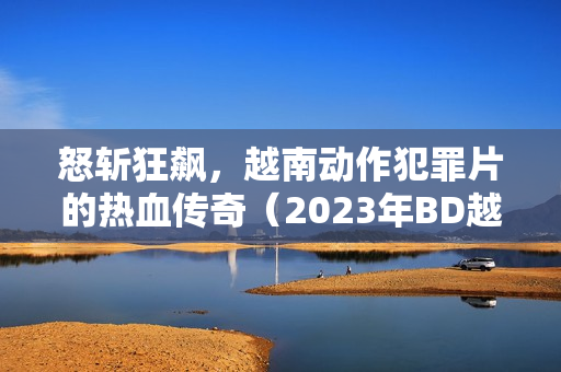 怒斩狂飙，越南动作犯罪片的热血传奇（2023年BD越南中字版）