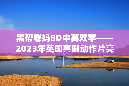黑帮老妈BD中英双字——2023年英国喜剧动作片亮相！