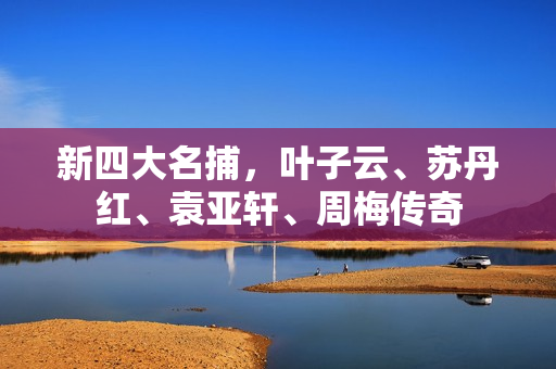 新四大名捕，叶子云、苏丹红、袁亚轩、周梅传奇