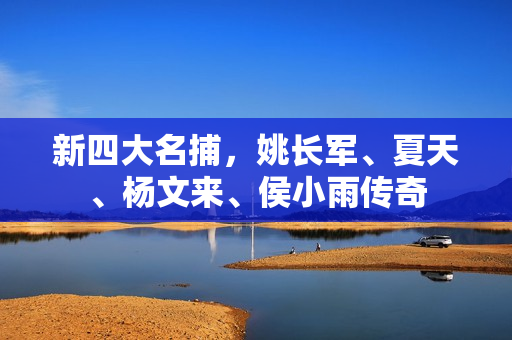 新四大名捕，姚长军、夏天、杨文来、侯小雨传奇