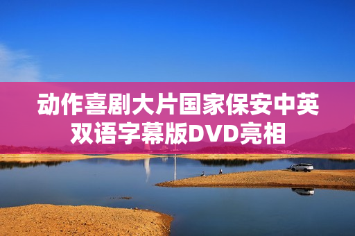 动作喜剧大片国家保安中英双语字幕版DVD亮相