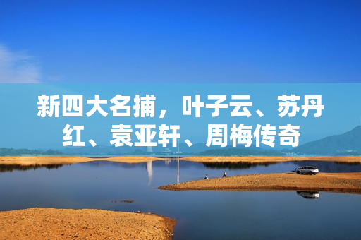 新四大名捕，叶子云、苏丹红、袁亚轩、周梅传奇