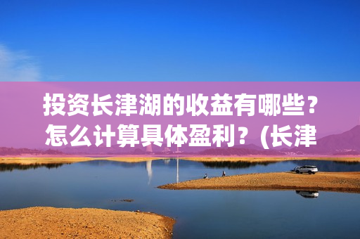 投资长津湖的收益有哪些？怎么计算具体盈利？(长津湖投资收益)