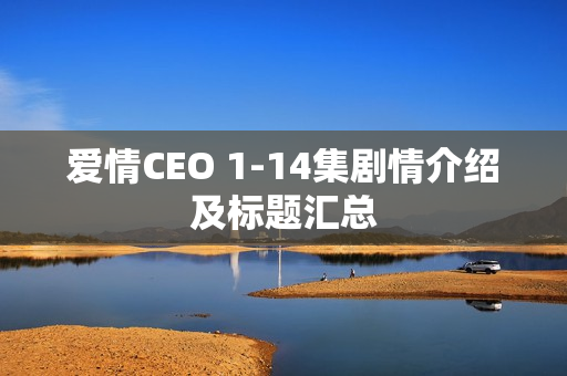 爱情CEO 1-14集剧情介绍及标题汇总