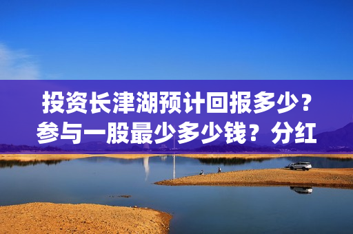 投资长津湖预计回报多少？参与一股最少多少钱？分红分多少？(投资长津湖预计收益)