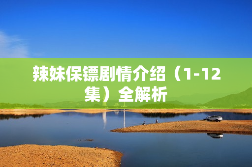 辣妹保镖剧情介绍（1-12集）全解析