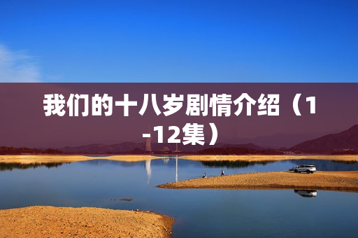 我们的十八岁剧情介绍（1-12集）