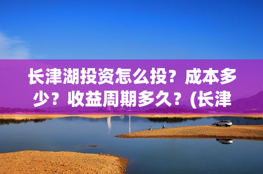 长津湖投资怎么投？成本多少？收益周期多久？(长津湖投资太大估计亏本)