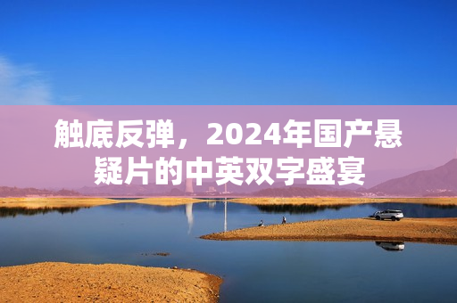 触底反弹，2024年国产悬疑片的中英双字盛宴