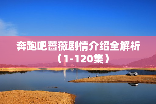 奔跑吧蔷薇剧情介绍全解析（1-120集）