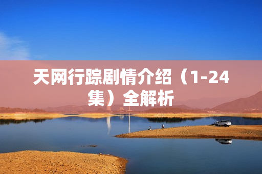 天网行踪剧情介绍（1-24集）全解析