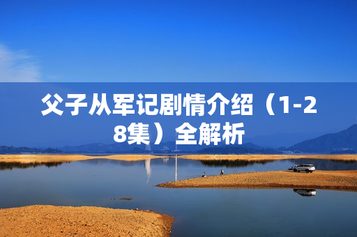 父子从军记剧情介绍（1-28集）全解析