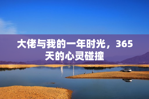 大佬与我的一年时光,365天的心灵碰撞 大佬与我的一年时光,365天的心灵碰撞