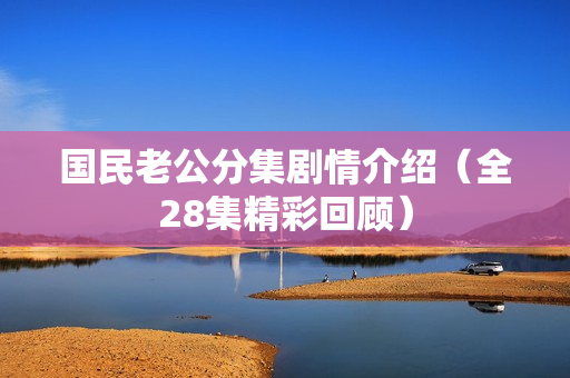 国民老公分集剧情介绍（全28集精彩回顾）