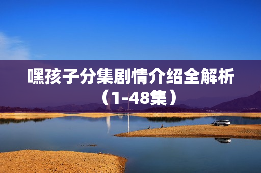 嘿孩子分集剧情介绍全解析（1-48集）