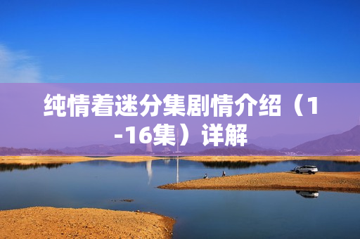 纯情着迷分集剧情介绍（1-16集）详解