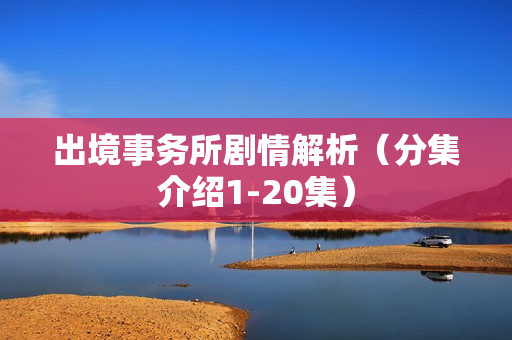 出境事务所剧情解析（分集介绍1-20集）