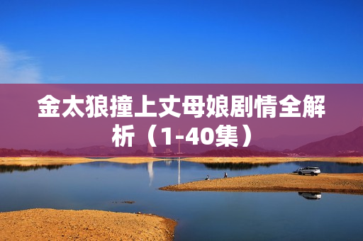 金太狼撞上丈母娘剧情全解析（1-40集）