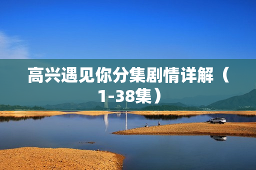 高兴遇见你分集剧情详解（1-38集）