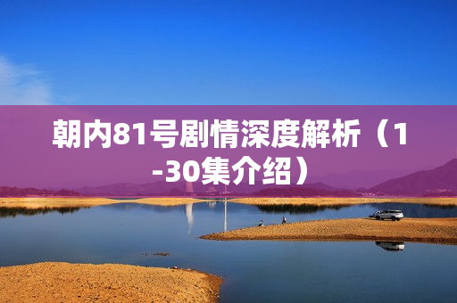 朝内81号剧情深度解析（1-30集介绍）