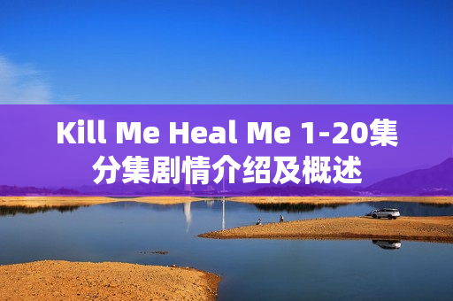 Kill Me Heal Me 1-20集分集剧情介绍及概述