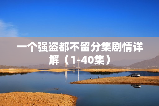 一个强盗都不留分集剧情详解（1-40集）